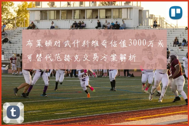 布莱顿对武什科维奇估值3000万或可替代范赫克交易方案解析