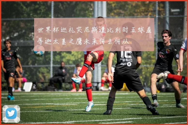 世界杯巡礼突尼斯遭比利时五球羞辱迦太基之鹰未来何去何从